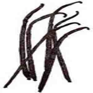 Pure Vanilla Food & Drink Extract
