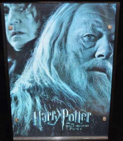 Previously Viewed Harry Potter